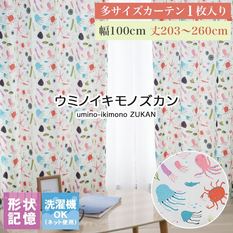 ドレープカーテン（厚地） | 1枚入り 幅100x丈203から260cm  14サイズから選べる多サイズ既製カーテン ウミノイキモノズカン