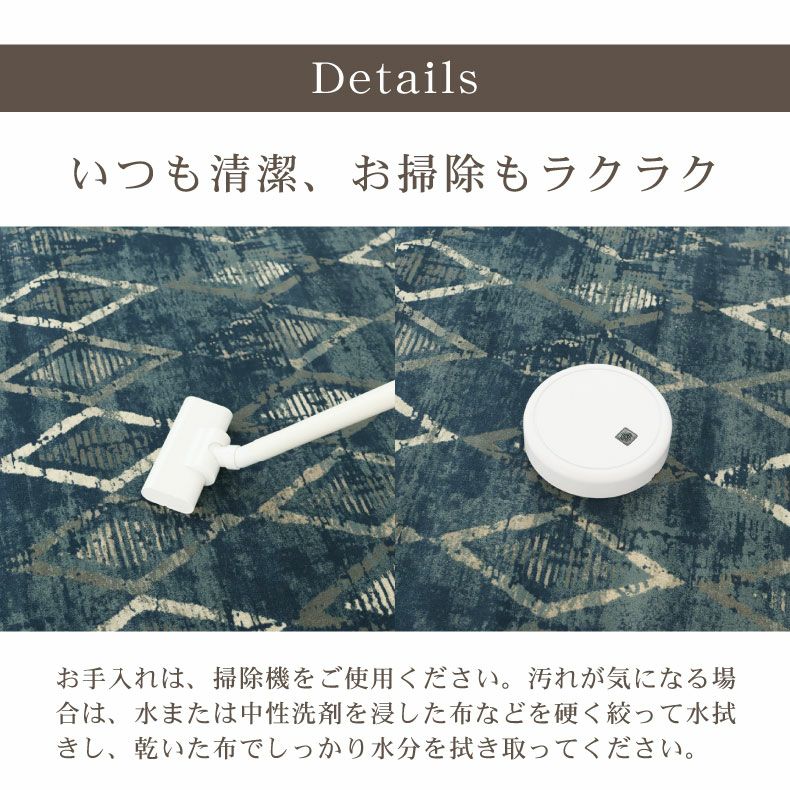 柄物・デザインラグ | ウィルトンラグ エリーク 全2色