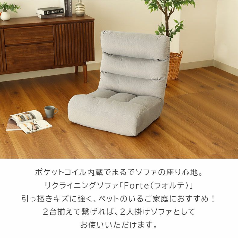 座椅子 | ワイド座椅子 フォルテ