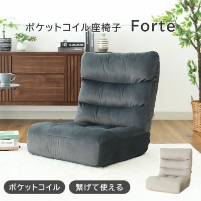 ワイド座椅子 フォルテのサムネイル