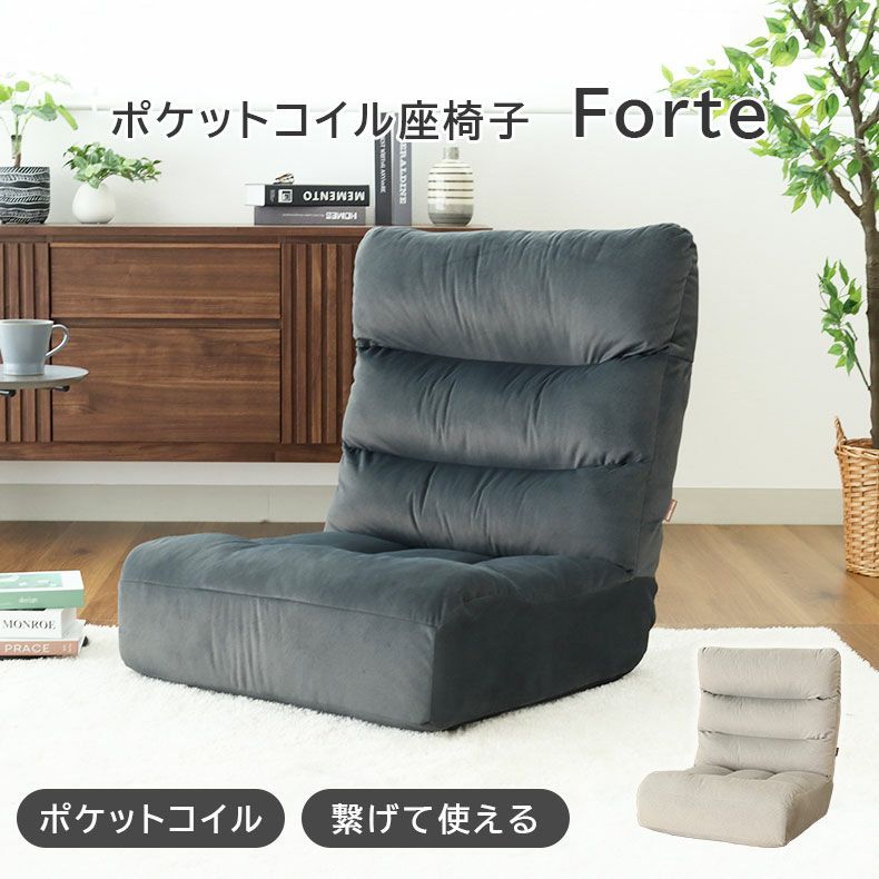 ワイド座椅子 フォルテのサムネイル