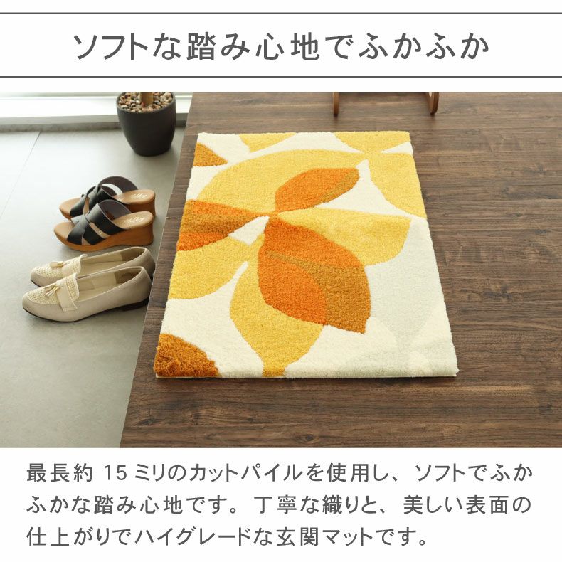 玄関マット | 50ｘ80cm 玄関マットTAM-108