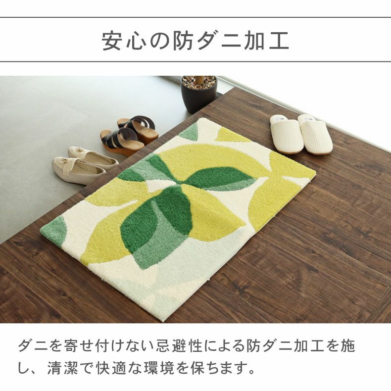 玄関マット | 50ｘ80cm 玄関マットTAM-108