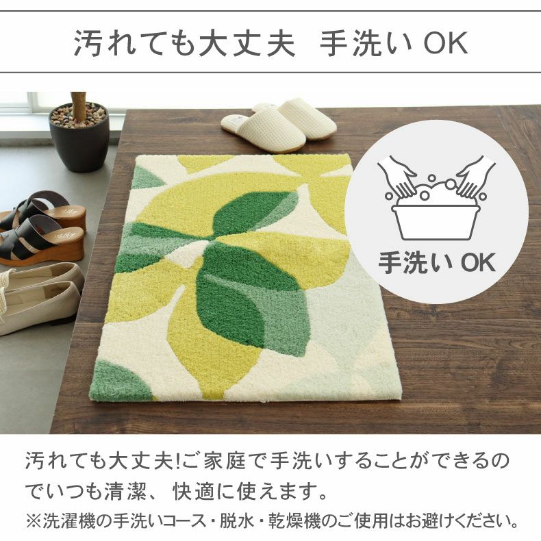 玄関マット | 50ｘ80cm 玄関マットTAM-108