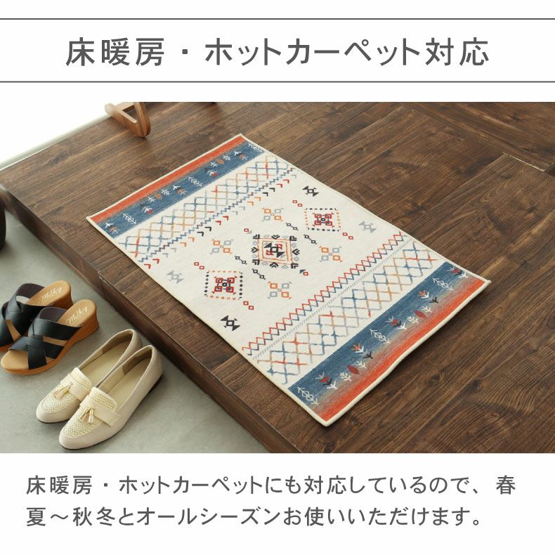 玄関マット | 50ｘ80cm マット アルバ ネイビー