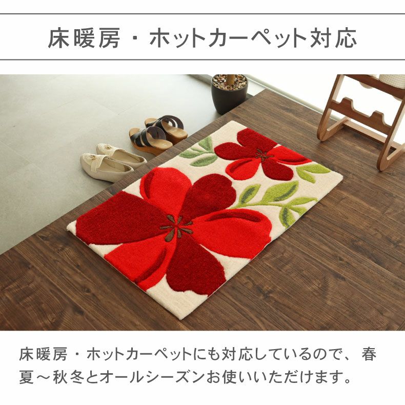 玄関マット | 50ｘ80cm 玄関マットアベル