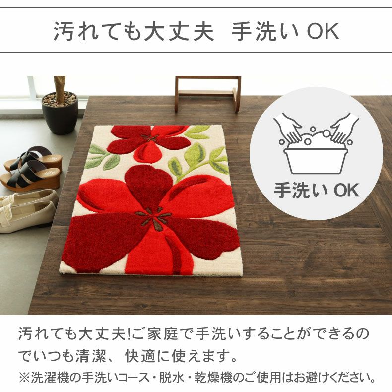 玄関マット | 50ｘ80cm 玄関マットアベル