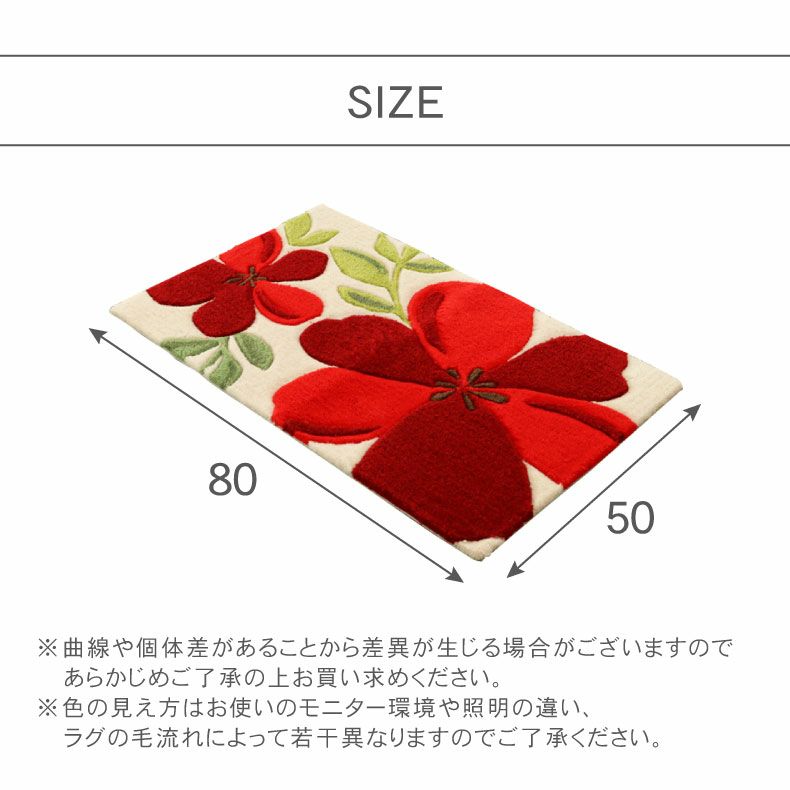玄関マット | 50ｘ80cm 玄関マットアベル