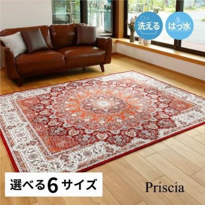 【通販限定】はっ水プリントラグ プリシアのサムネイル