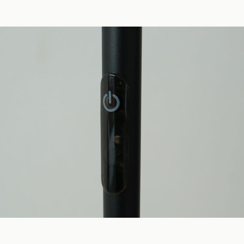 フロアライト | 1灯 LED フロアライト アイン