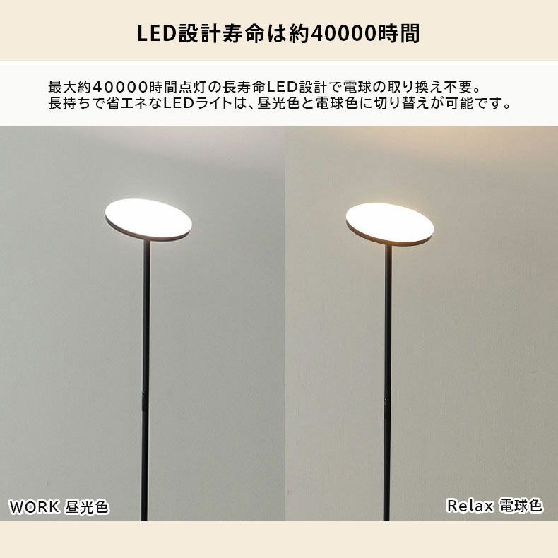 フロアライト | 1灯 LED フロアライト アイン
