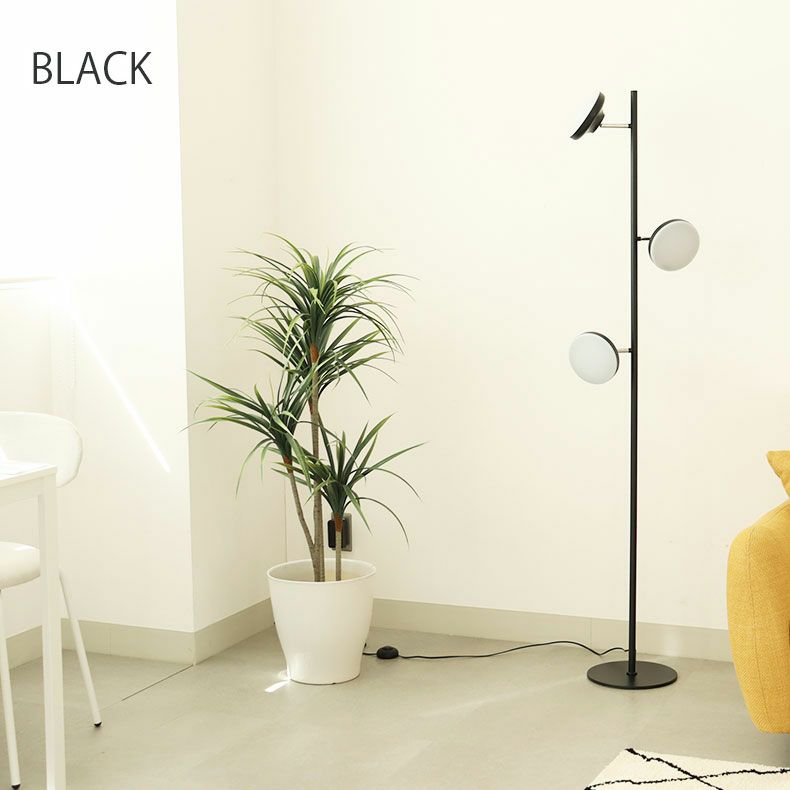 フロアライト | 3灯LEDフロアライト スピカ