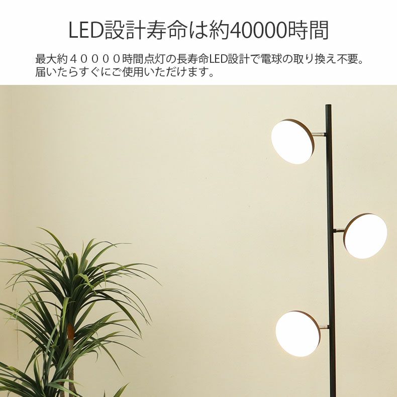 フロアライト | 3灯LEDフロアライト スピカ