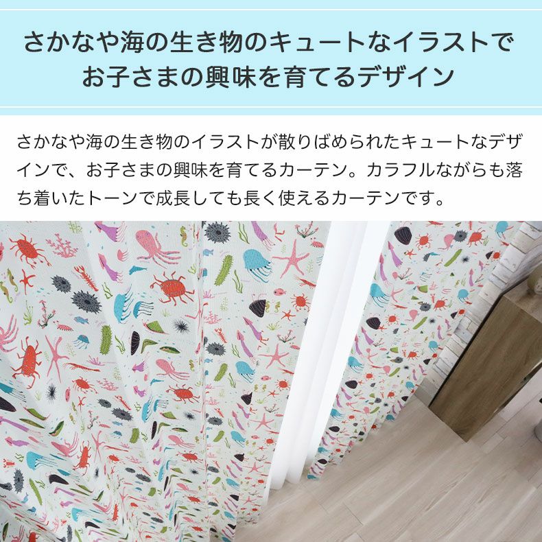 ドレープカーテン（厚地） | シンプルオーダーカーテン ウミノイキモノズカン