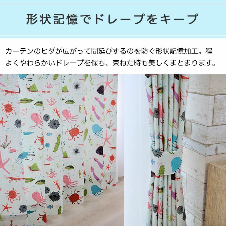 ドレープカーテン（厚地） | シンプルオーダーカーテン ウミノイキモノズカン