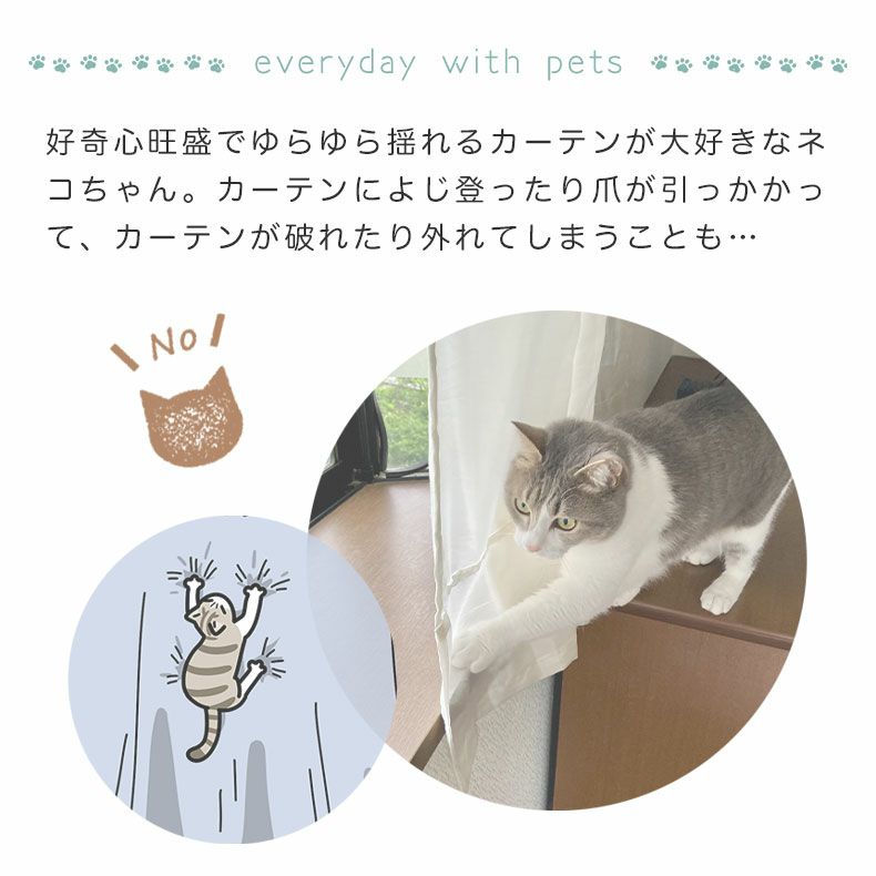 レースカーテン（薄地） | シンプルオーダーレースカーテン ネコヒッカカラナイボイル