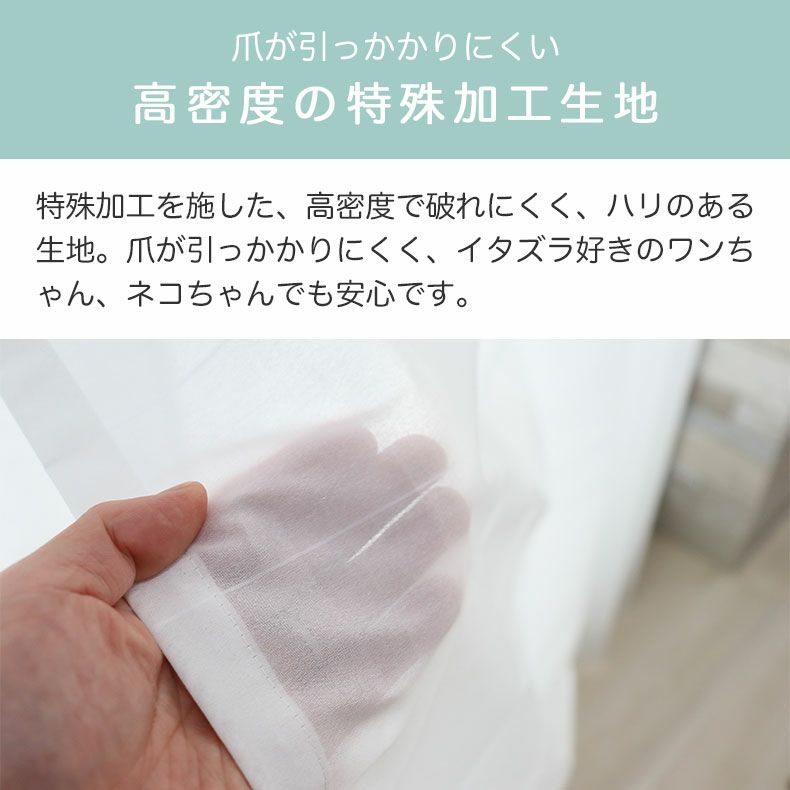 レースカーテン（薄地） | シンプルオーダーレースカーテン ネコヒッカカラナイボイル