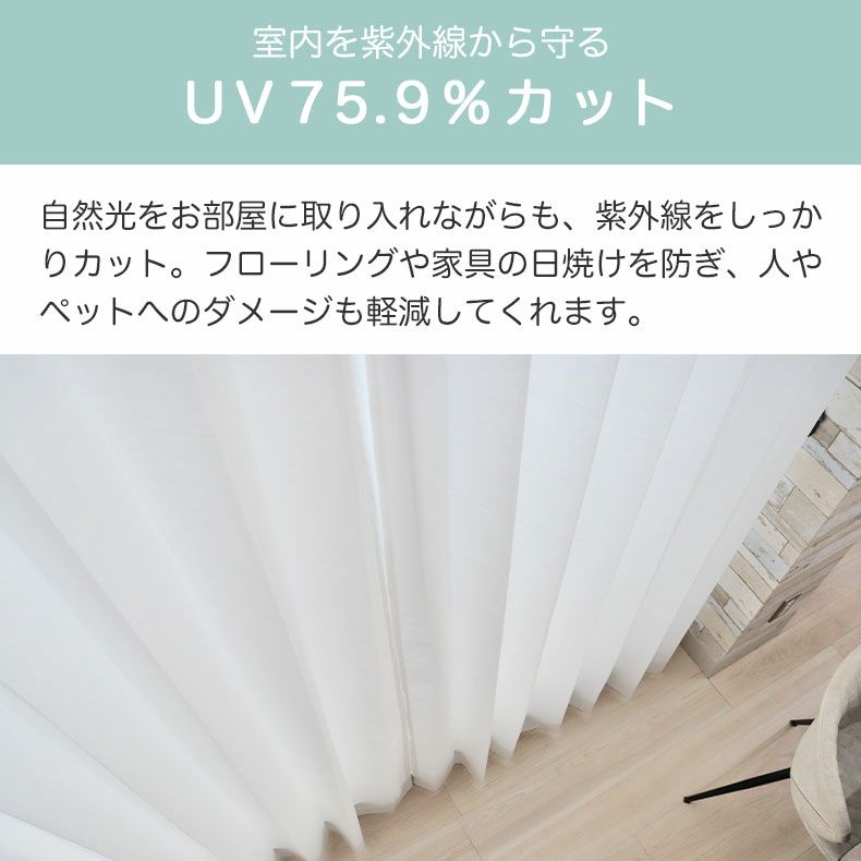 レースカーテン（薄地） | シンプルオーダーレースカーテン ネコヒッカカラナイボイル