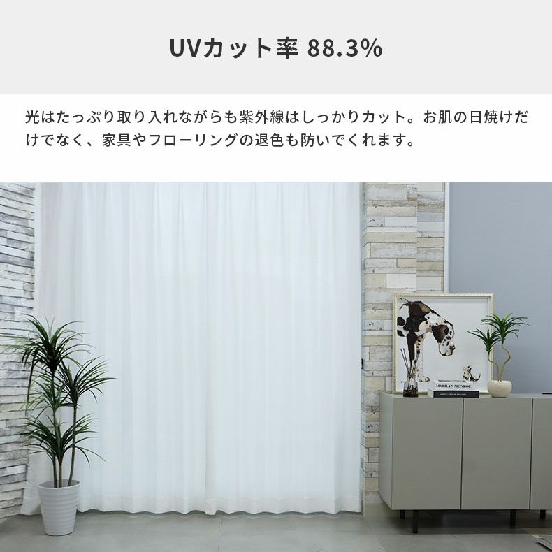 レースカーテン（薄地） | シンプルオーダーレースカーテン カルメ