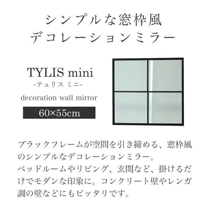 ミラー・コスメ収納 | ウォールミラー テュリスミニ