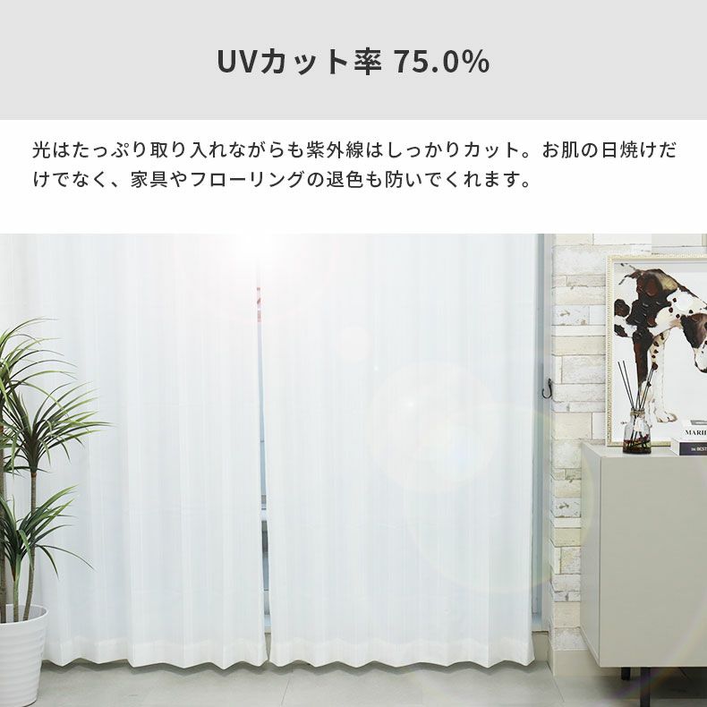 レースカーテン（薄地） | シンプルオーダーレースカーテン PLC1357