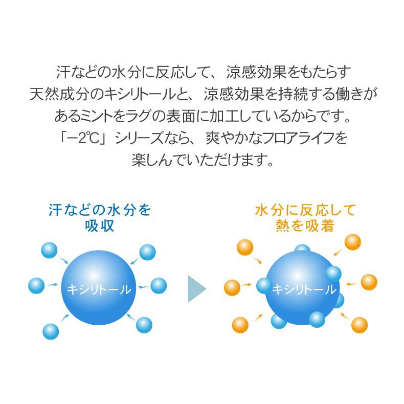 柄物・デザインラグ | 冷感ラグ グレイマリン