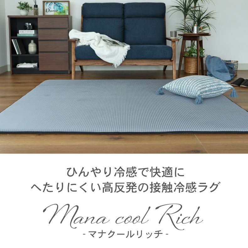 柄物・デザインラグ | 冷感ラグ マナクールリッチ
