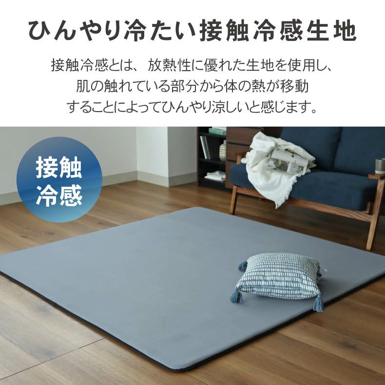 柄物・デザインラグ | 冷感ラグ マナクールリッチ