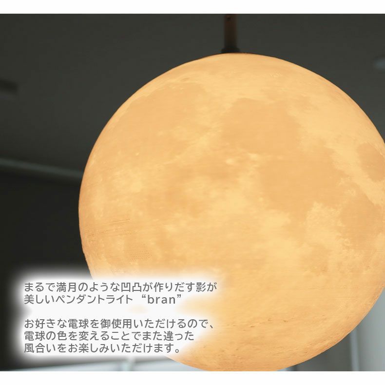 シーリングライト | 1灯ペンダントライト ブラン