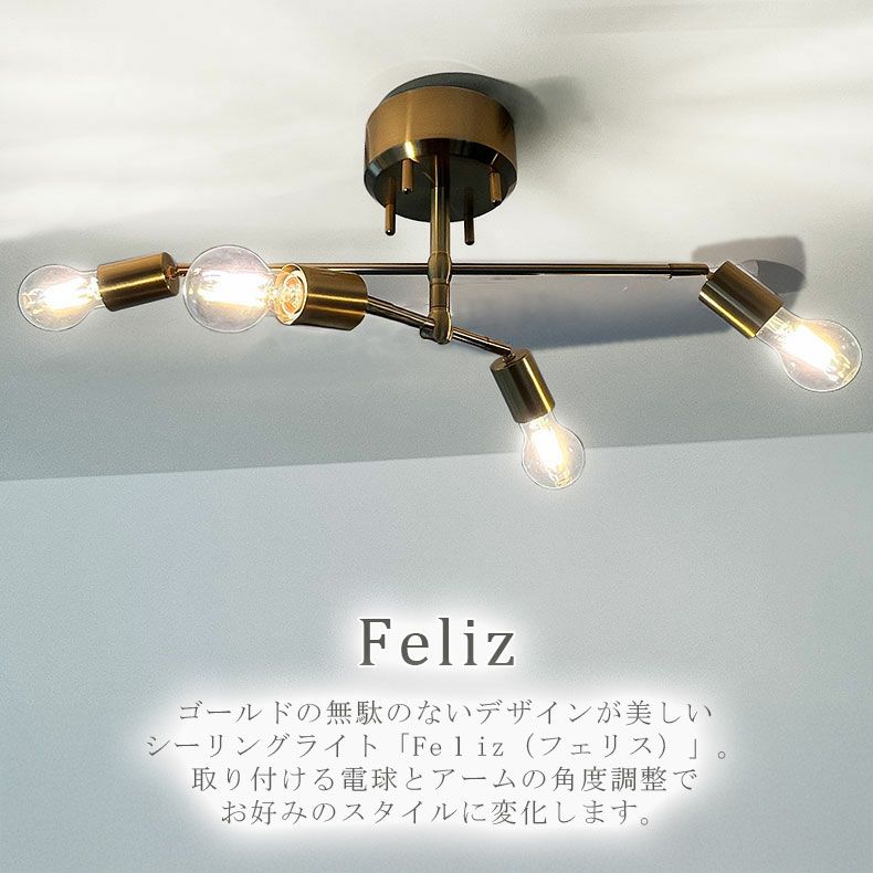 シーリングライト | シーリングライト フェリス