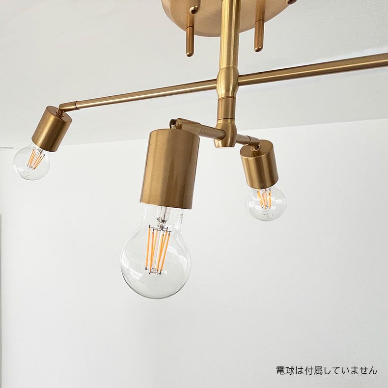 シーリングライト | シーリングライト フェリス