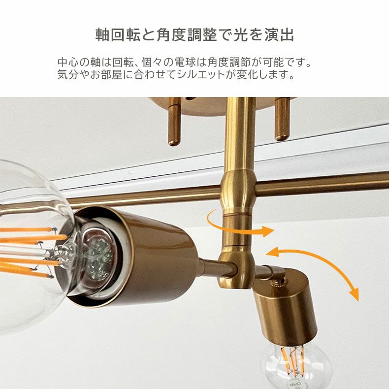 シーリングライト | シーリングライト フェリス