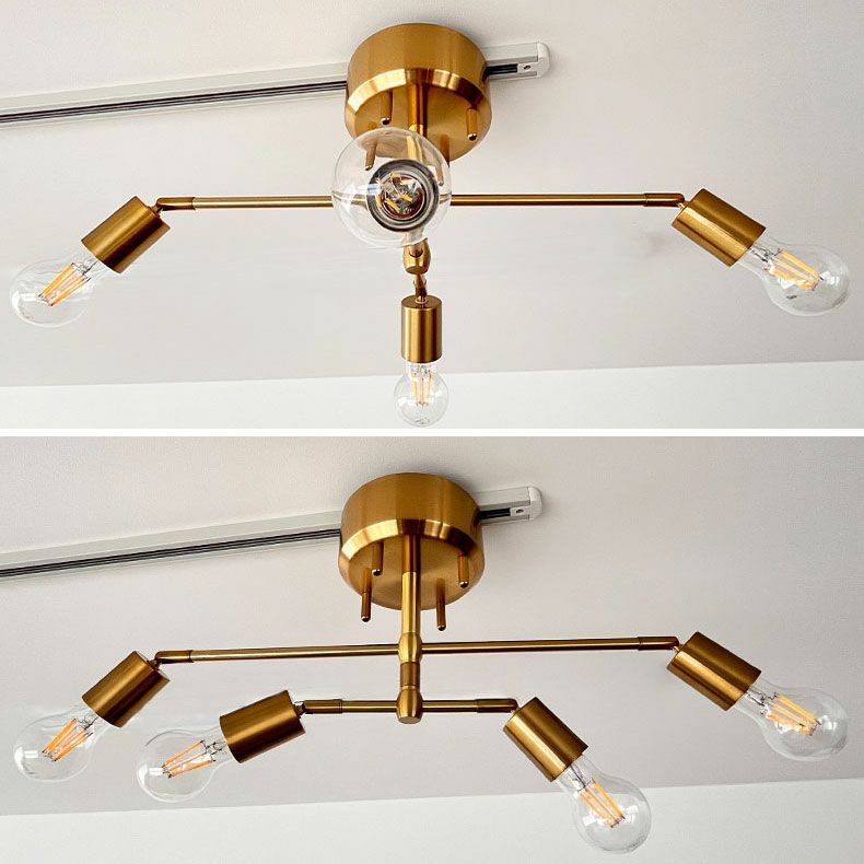 シーリングライト | シーリングライト フェリス