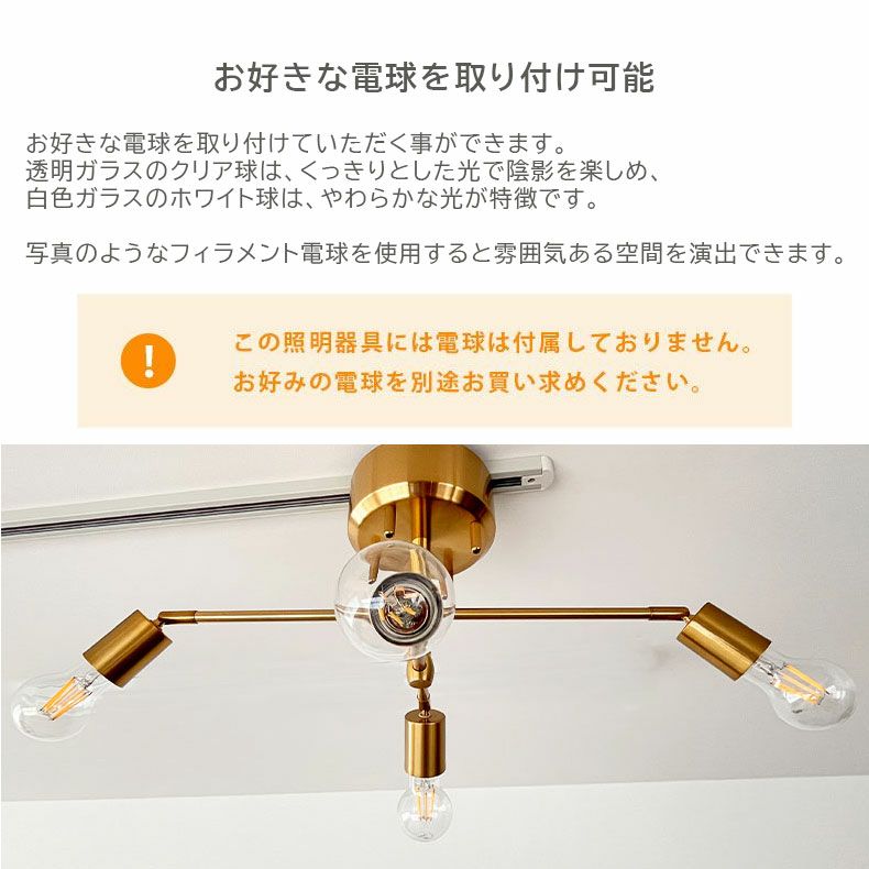 シーリングライト | シーリングライト フェリス