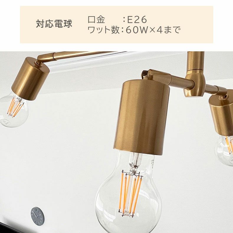 シーリングライト | シーリングライト フェリス