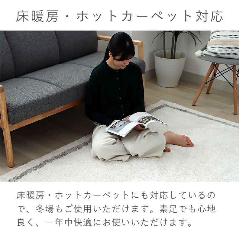 柄物・デザインラグ | ラグ パウダーライン