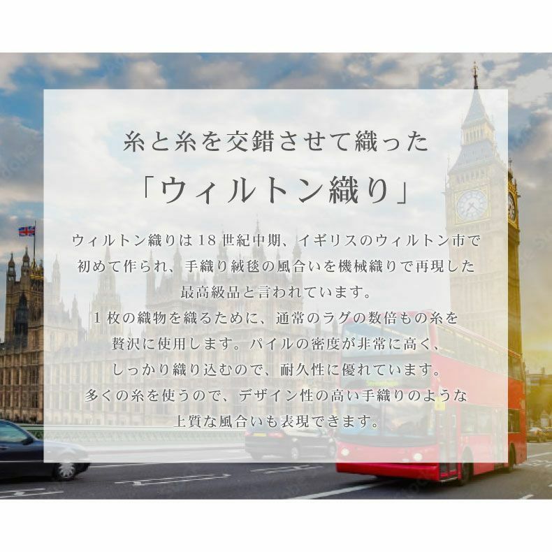 玄関マット | 玄関マット エデン