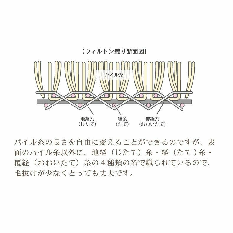 玄関マット | 玄関マット ミケ