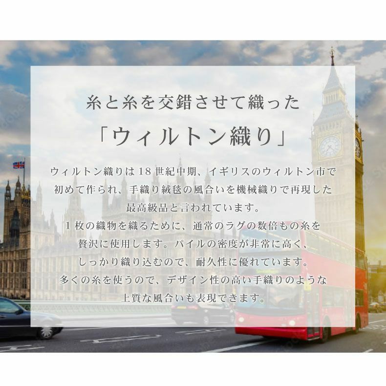 玄関マット | 玄関マット ラグナ