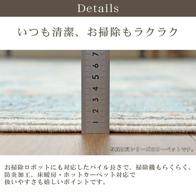 玄関マット | 玄関マット ラグナ