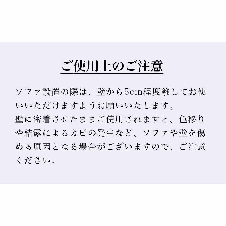 ２人掛けソファ | 2人掛けソファ レーヴ3