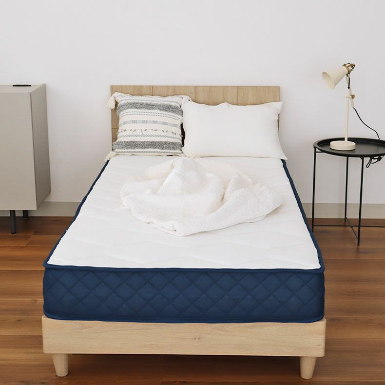 マットレス | シングルサイズ ロールポケット マットレス MI-P01