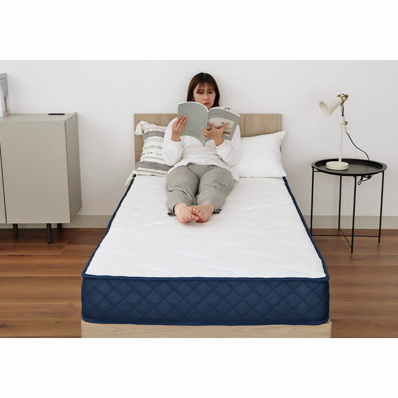 マットレス | シングルサイズ ロールポケット マットレス MI-P01