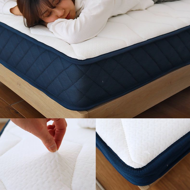 マットレス | シングルサイズ ロールポケット マットレス MI-P01