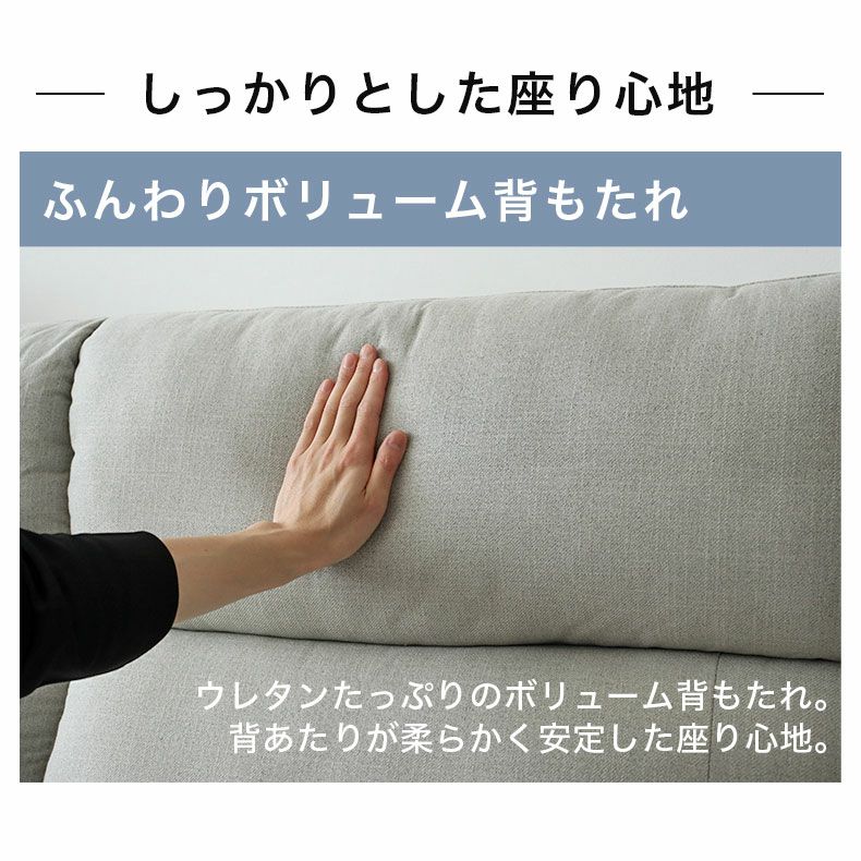３人掛けソファ | 3人掛けソファ レオン
