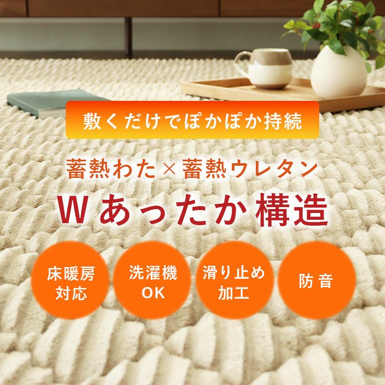 無地ラグ | 蓄熱ラグ フェリス