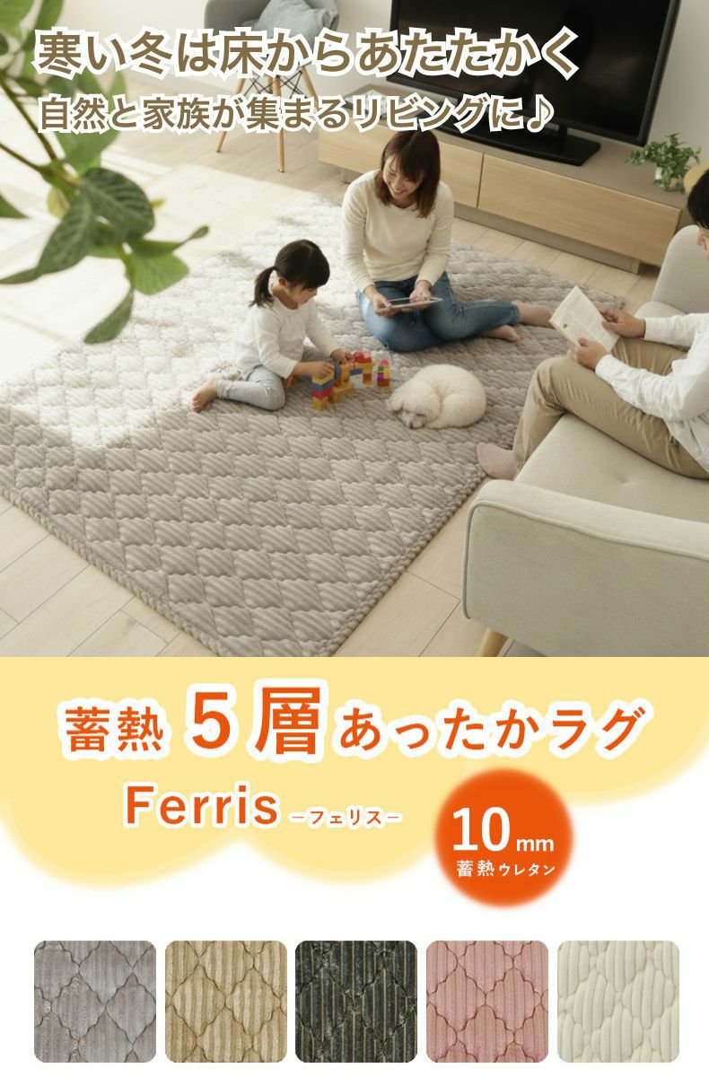 無地ラグ | 蓄熱ラグ フェリス