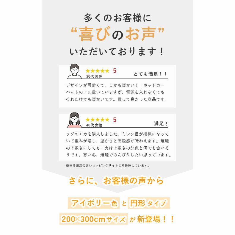 無地ラグ | 蓄熱ラグ フェリス