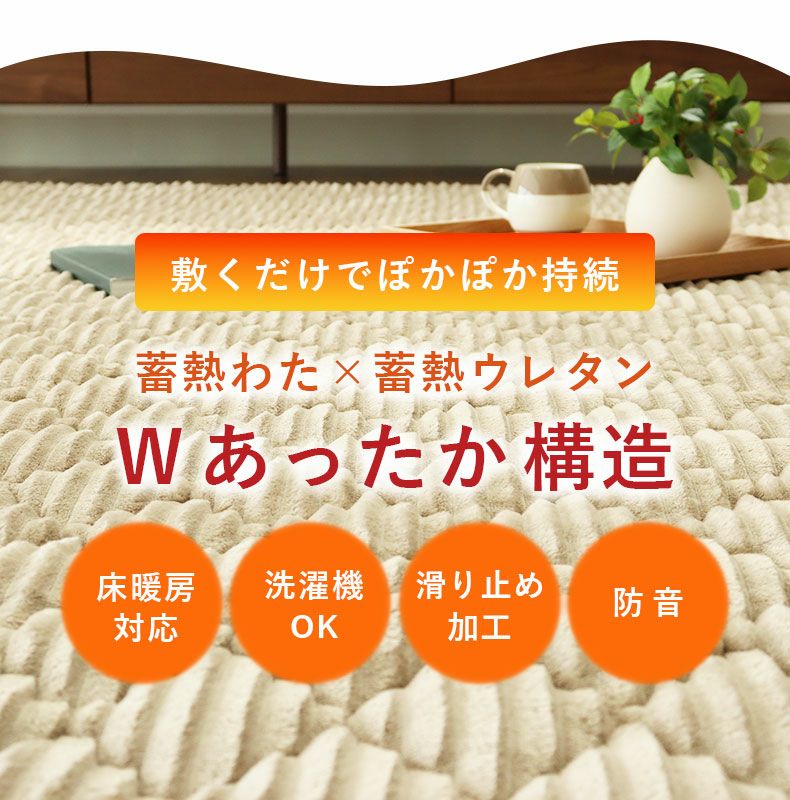 無地ラグ | 蓄熱ラグ フェリス