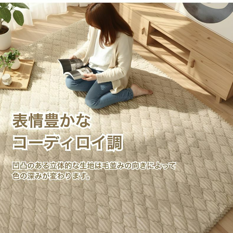 無地ラグ | 蓄熱ラグ フェリス